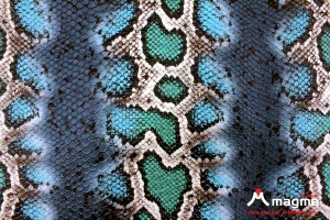 PVC 1.3 Gravado Serpente - OA273